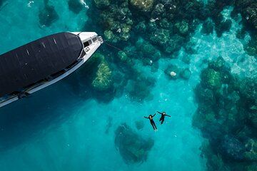 Great Barrier Reef Small Group Snorkelling Adventure