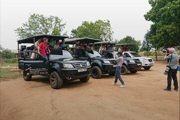 Udawalawe Safari Day Trip Elephants and Wildlife from Galle
