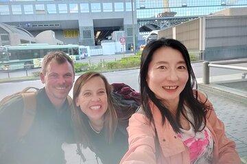 Sacred Paths and Hidden Views: Kyoto Temple & Scenic Tour