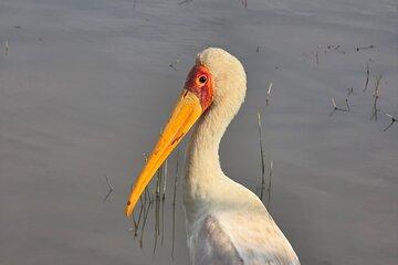 4 days Kenya National Park Multi Day Tour