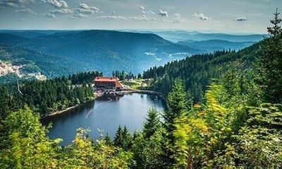 Black Forest Day Trip from Strasbourg: Baden Baden & Wine Route