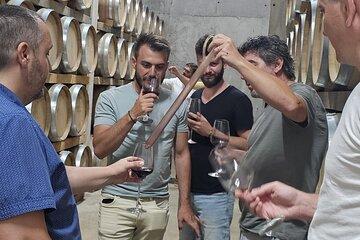 Dealu Mare Small Group Wine Tasting Tour from Bucharest