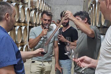 Dealu Mare Small Group Wine Tasting Tour from Bucharest