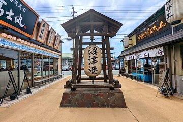 Private Numazu Tour with Lisenced Guide by Car