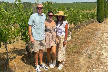 Montepulciano Vineyards Wine Tour with 3 Estates Visit