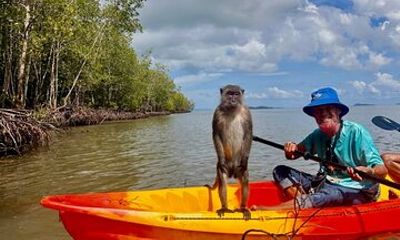 Ko Lanta Mangrove Kayaking Tour With Lunch and Lanta Old Town