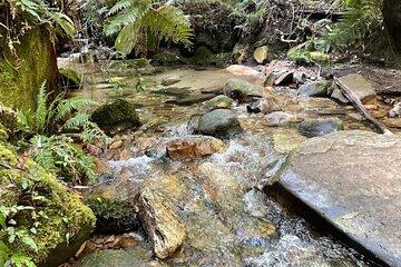 Explore Sydney with Private 4WD Tour