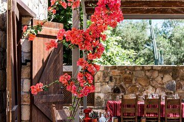 Vatolakkos: Boutique Winery Tour & 5-Wine Tasting