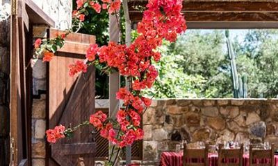 Vatolakkos: Boutique Winery Tour & 5-Wine Tasting