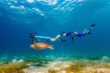 Red Sea Snorkeling Tour from Hurghada