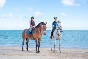 Full Day Tour: Beach Horseback Riding & Explore the Southwest