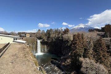 Omiya Yokocho Minivan Private Tour Experience