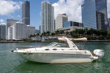 Explore Miami by Boat Rental
