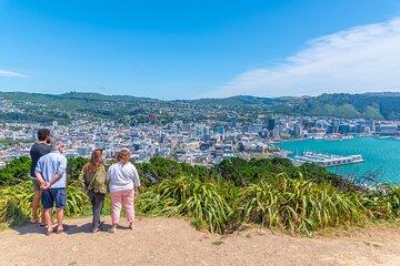 Wellington Hiking Tour: Early Evening Climb & Unwind Experience