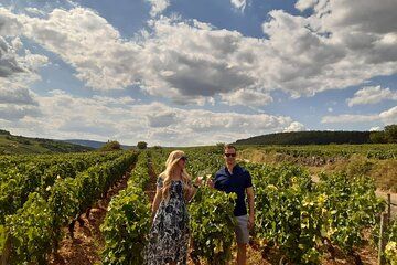 Private full day tour in Burgundy: Grand Cru Experience