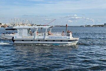 Fort Myers Beach Dolphin and Eco Tours