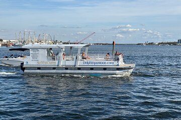 Fort Myers Beach Dolphin and Eco Tours