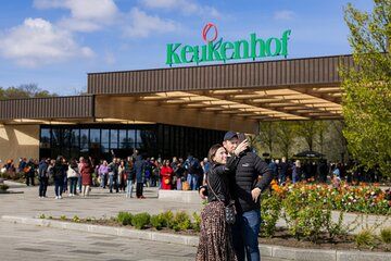 Amsterdam Airport Keukenhof Shuttle Entry with Flexible Return