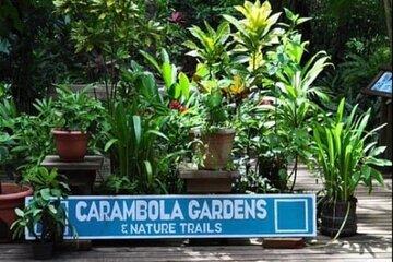 Roatan Private Tour , Culture and Views Experience