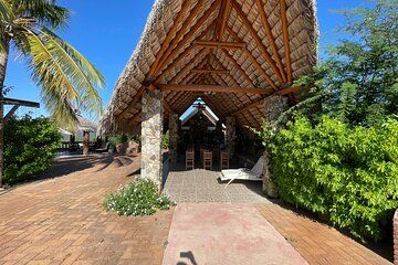 Foco Tonal Sound Vortex Meditation Experience