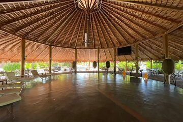 Private Foco Tonal Sound Experience Cabo & San José Pickup