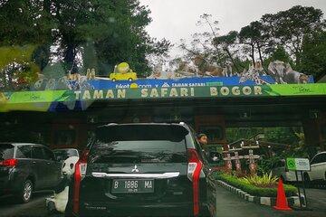 Jakarta Bogor Taman Safari Indonesia Private Car Tour Experience