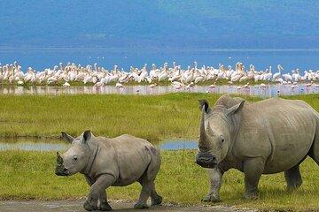 Multi day Tour in Nakuru and Naivasha