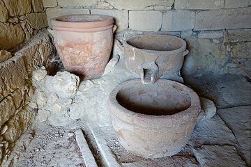 Private guided tour to Knossos Palace, an Olive mill and a Winery