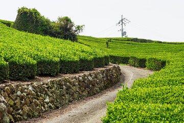 Full Day E Bike Tour through Kyotos Countryside