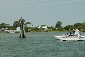 Assateague Island Private Cruise Tour