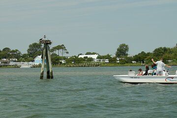 Assateague Island Private Cruise Tour