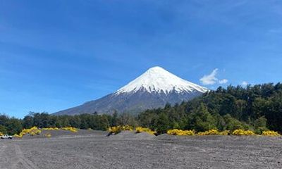 Custom Tour of the Lakes Region in Chile
