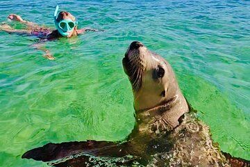 Turquoise Coast and Pinnacles Desert Private day Tour from Perth