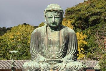 Tour in Tsurugaoka Hachimangū, Hasedera Temple and Great Buddha