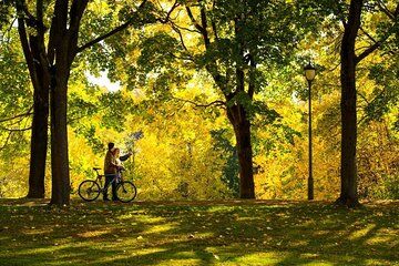 Guided Bike Tour Highlights of Oslo