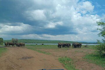 Shared Akagera Road Birdwatching Adventure 3 Days