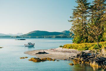 Islands of Wonder: Sitka Wildlife Boat Adventure (4 hours)