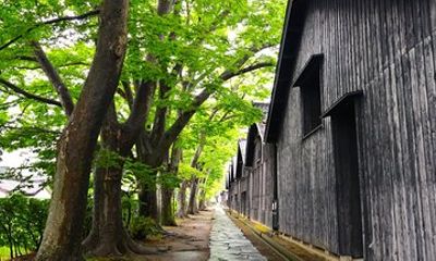Sakata Private Shore Excursion – Yamagata Highlights