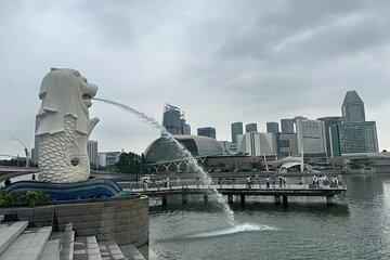 Singapore Merlion Mini Photo Session
