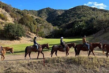 Horse Trail and Canyon Group Ride on Catalina Island