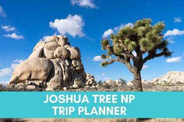 Joshua Tree National Park Trip Planner