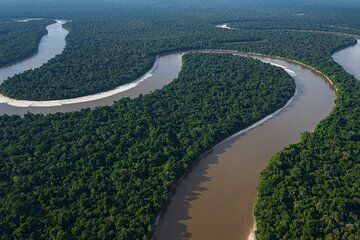 Amazon Essence Experience: Private Shore Tour from Iquitos