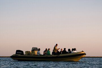 Sunset Nature Boat Tour - Ria Formosa