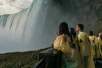 Niagara Falls Winter Tour Guided 3 Hour Adventure
