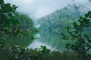 Amazon Rainforest Wonders Private Shore Tour from Iquitos