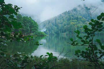 Amazon Rainforest Wonders Private Shore Tour from Iquitos