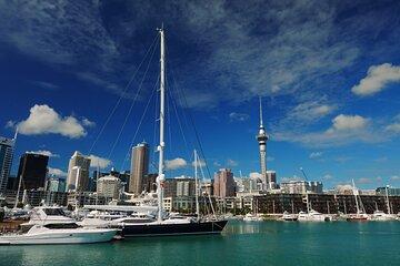 Private Auckland City Highlights Tour