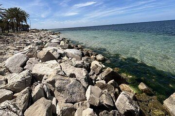 Half Day City Tour Monastir