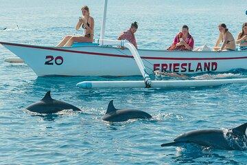 North Bali Expedition: See Dolphins, Hot Springs & Wanagiri Hills