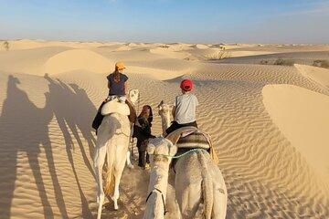 2 days Camp in Sahara and Land Rover to the Oases